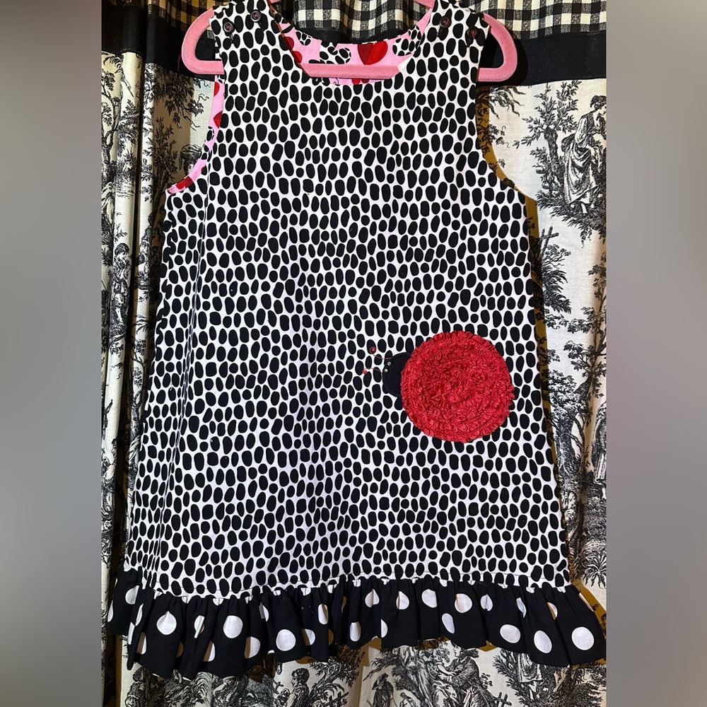 Bailey Boys Reversible Ladybug Dress